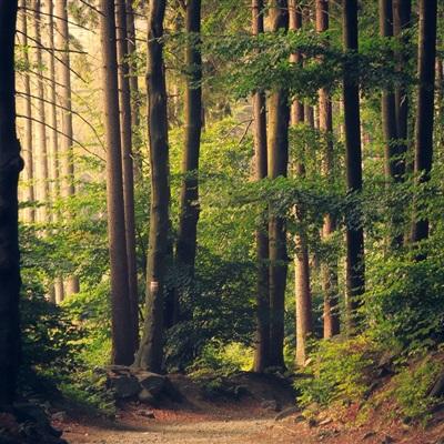 江南娱乐app官网下载官方入口